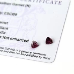 0.8cts Rajasthan Garnet 5x5mm Triangle Pack Of 2 (N)