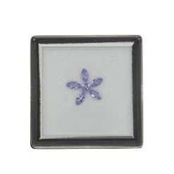 Larkspur Flower Includes 0.65cts Tanzanite 5x2.5 & 3.25mm