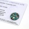 9.4cts Egyptian Turquoise 17x17mm Round (CP) -Fashion Accessories houp96