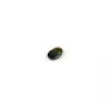 Ammolite Triplet 6x4mm Oval -Fashion Accessories ktez34