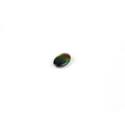 Ammolite Triplet 6x4mm Oval