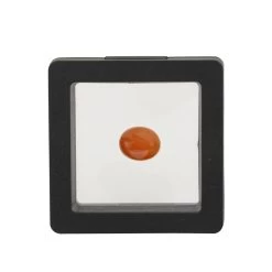 6cts Triphylite Oval Smooth Approx 12x10mm