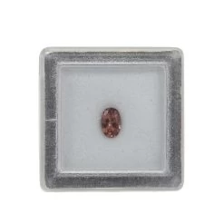 KIT 1 : 0.35cts Red Apatite Faceted Oval Approx 6x4mm