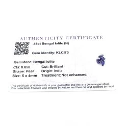 0.85cts Bengal Iolite 5x4mm Pear Pack Of 4 (N)