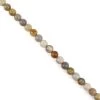 510 Fossil Jasper Plain Rounds Approx 14mm, 38cm -Fashion Accessories ysky09