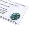 8.9cts Egyptian Turquoise 20x16mm Oval (CP) -Fashion Accessories yuup62