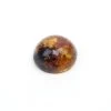 Dominican Amber Cabochon Approx 18mm (1pc) -Fashion Accessories zeoq68